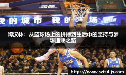 陶汉林：从篮球场上的拼搏到生活中的坚持与梦想追逐之路